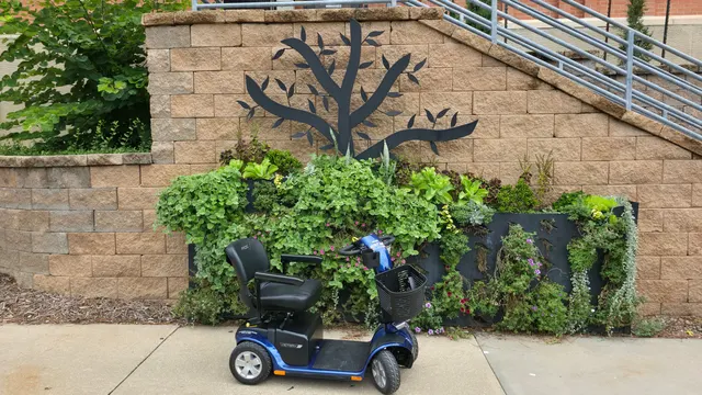 Mobility scooter at a metal tree sculpture wall, Olathe